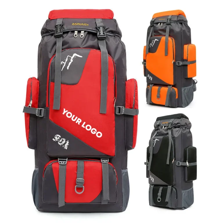 Travel Backpack