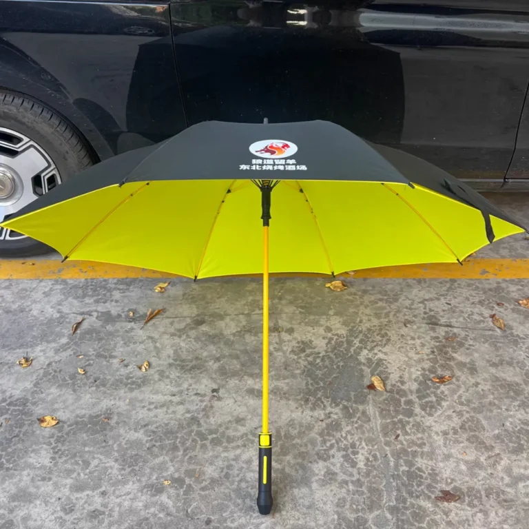 Customized double-layer umbrella