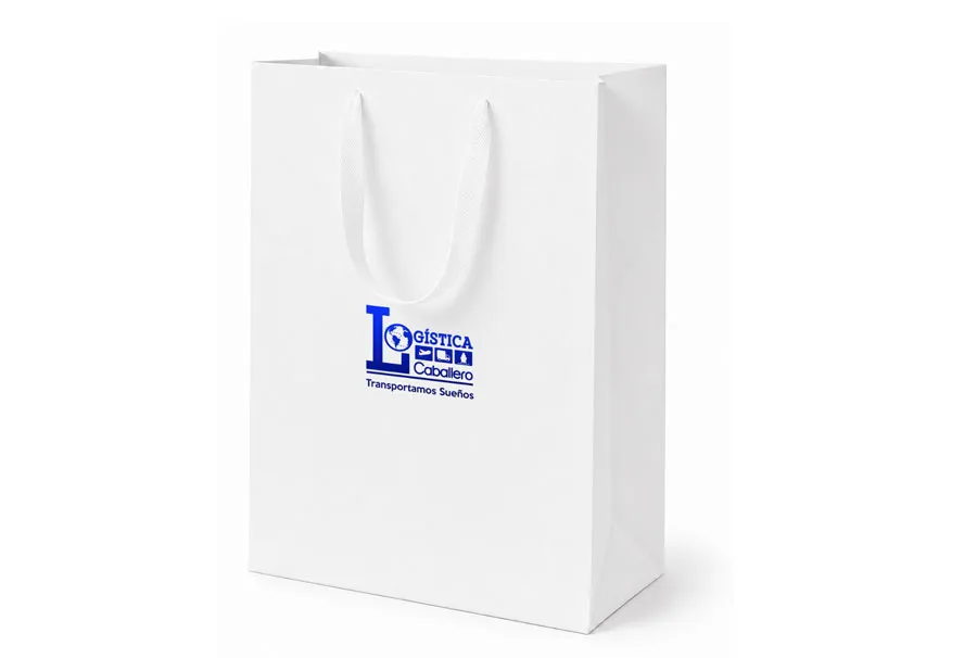 Custom Logo Paper gift Bag for Corporate Gift Sets